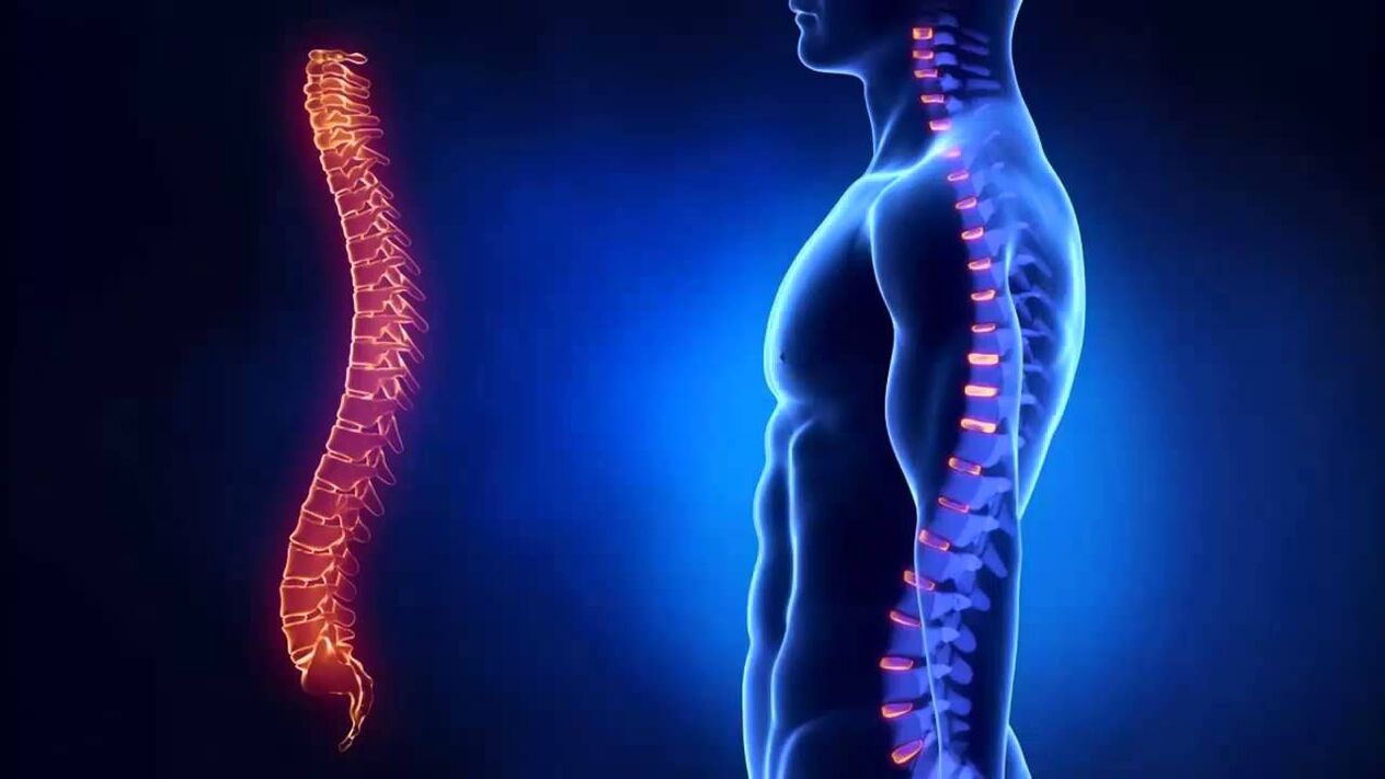 Osteochondrosis is classified according to the parts of the spine where the disease develops.